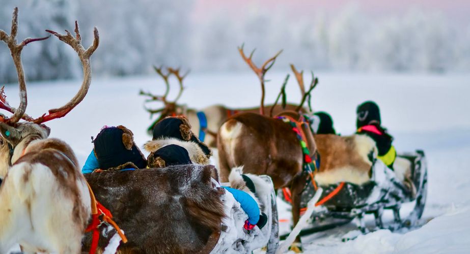 Rendierboerderij bezoeken Finland
